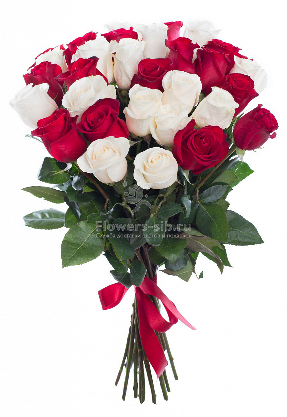 BOUQUET OF 31 ROSES